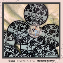 Load image into Gallery viewer, Ladybug / Lady Bug- Set of 13 Baby Milestone Discs